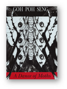 A Dance Of Moths